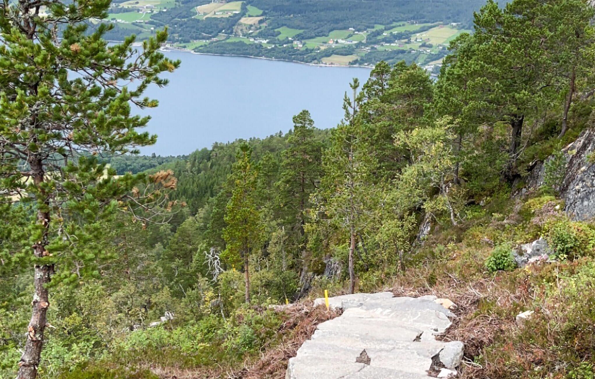 A stone staircase leading down a forested hillside with a lake in the background.