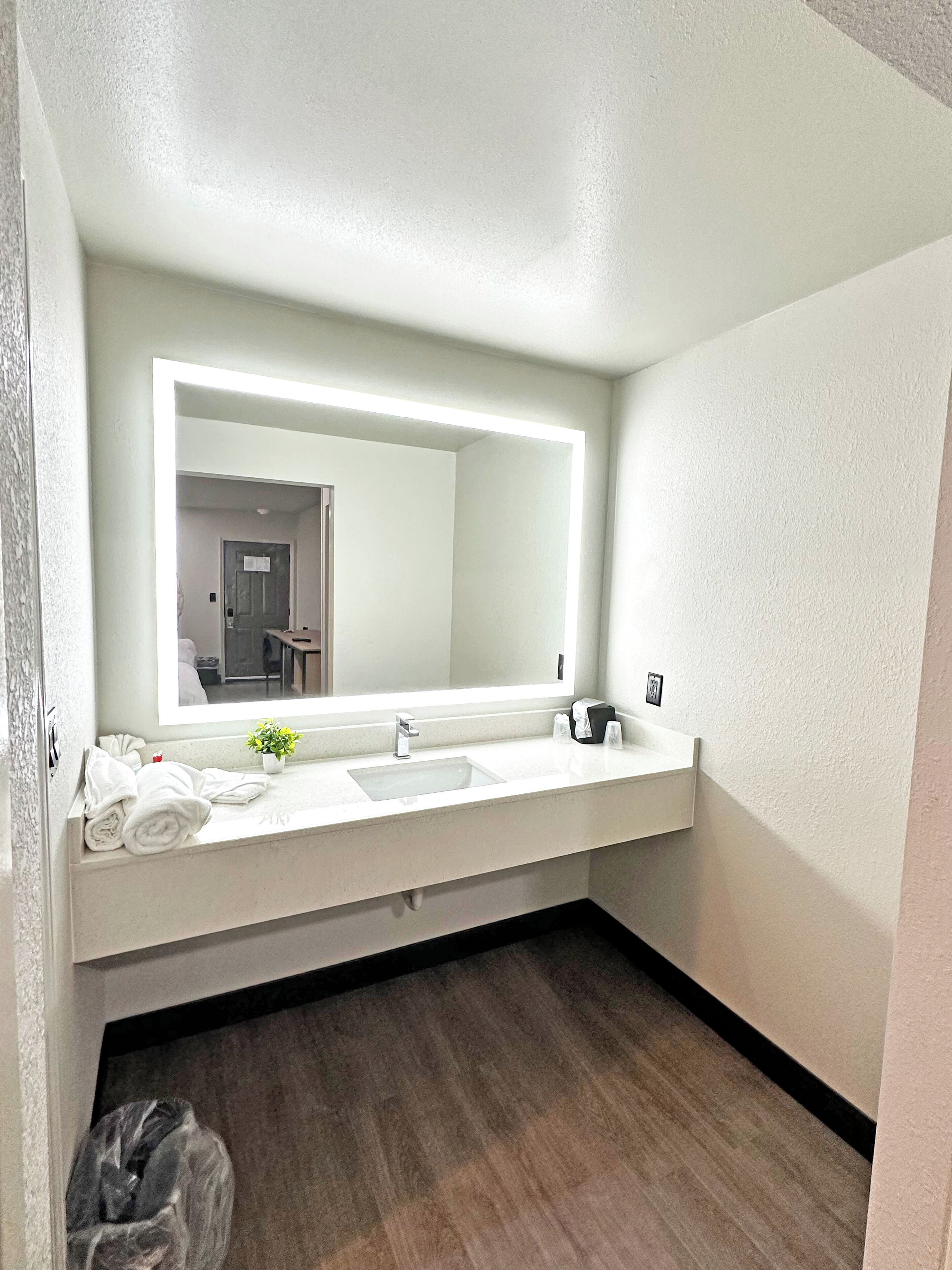 Un bagno con un lavandino bianco, uno specchio grande e una piccola pianta in vaso sul ripiano.