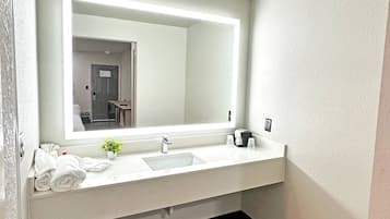 Un bagno con un lavandino bianco, uno specchio grande e una piccola pianta in vaso sul ripiano.