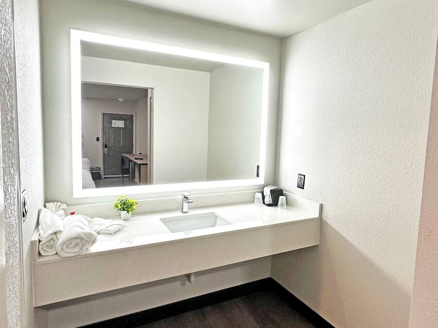 Un bagno con un lavandino bianco, uno specchio grande e una piccola pianta in vaso sul ripiano.