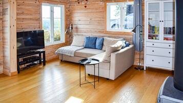 TV, fireplace, DVD player