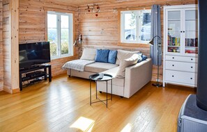 TV, fireplace, DVD player