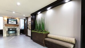 Un espace d’accueil doté d’une cheminée en pierre, d’un téléviseur à écran plat, d’un grand bac à plantes contenant de hautes plantes vertes et d’un banc de couleur sombre.