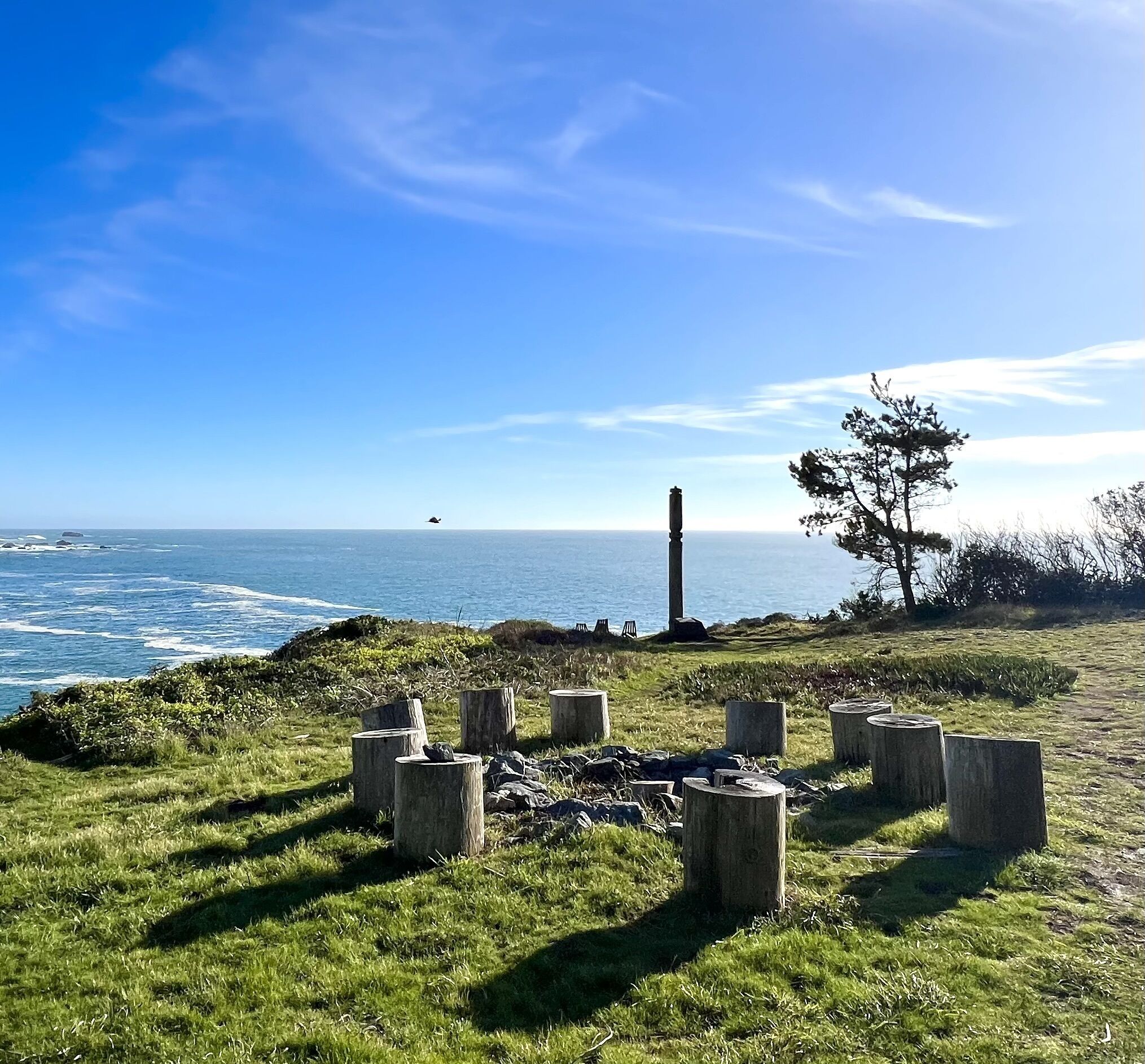 A grassy area with wooden posts and a tall wooden post, overlooking a body of water with waves.