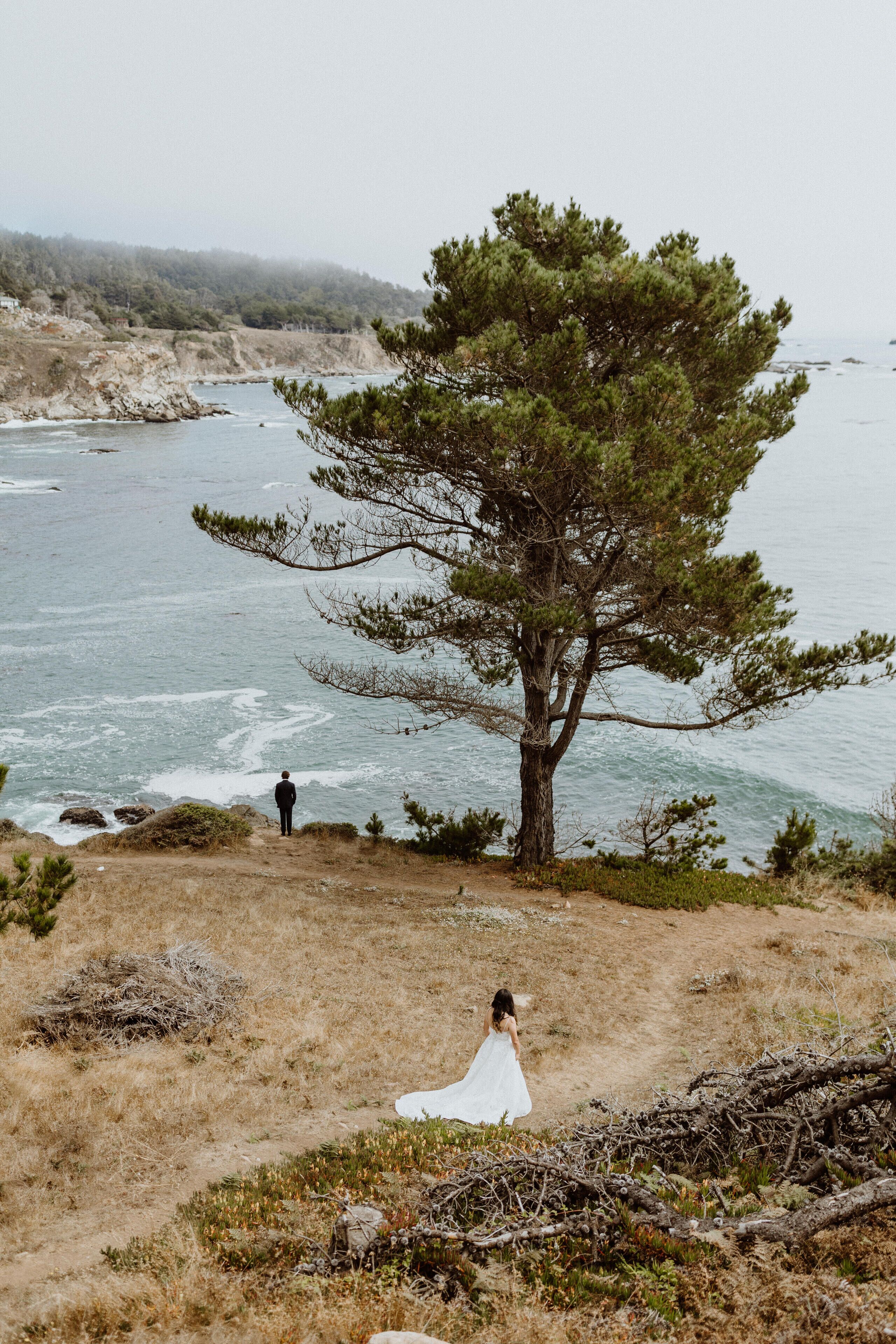 A coastal landscape with a pine tree, a person in a white dress, and a body of water.