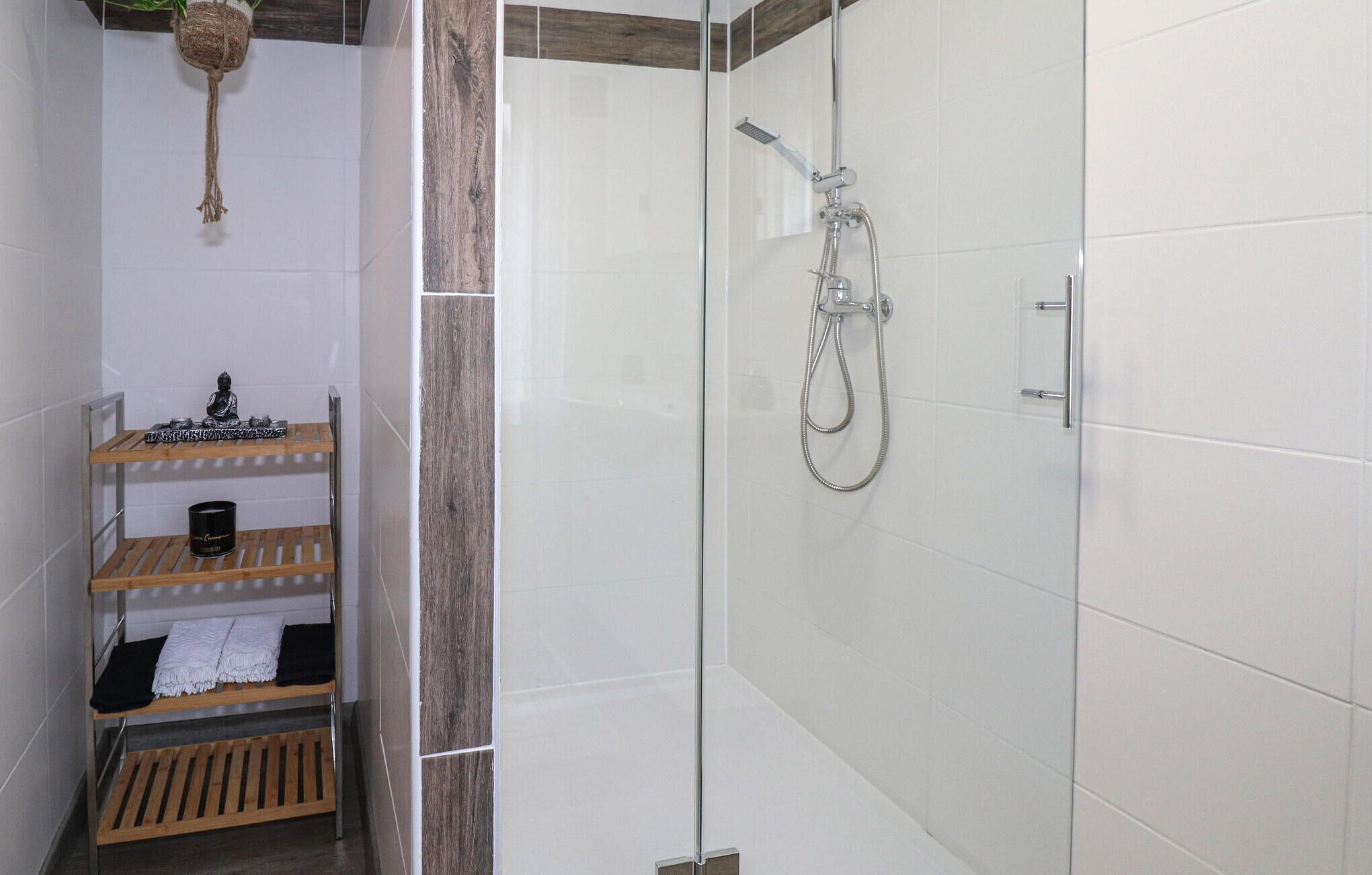 Eine Dusche mit Duschbrause, ein Holzregal mit Handtüchern und eine hängende Pflanze.