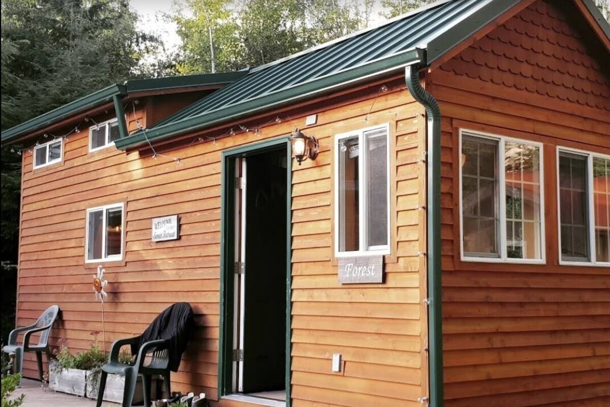 A wooden cabin with a green roof, a sign reading "Forest," and two chairs outside.