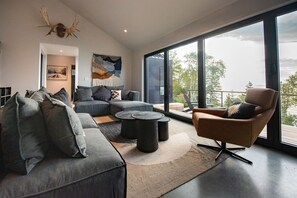 Smart TV, fireplace, books