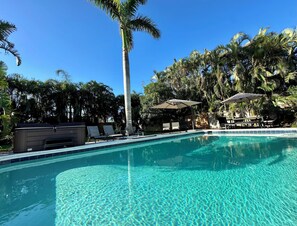 A clear swimming pool surrounded by palm trees and lounge chairs. - Pineapple House - near beaches - private SOUTH facing POOL & HOT TUB - Walkable (Sarasota)