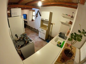 A compact kitchen with a refrigerator, stove, and sink. There is a potted plant and a broom leaning against the wall.