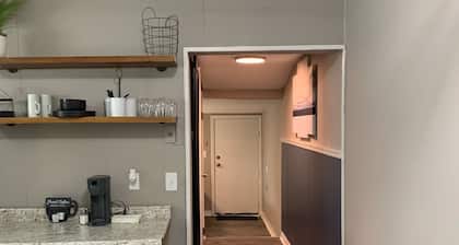 Renovated 1 Bedroom Duplex near D-Town #406