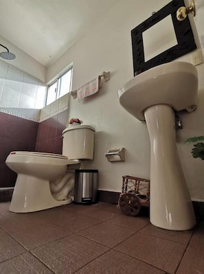 Regadera, toallas, jabón, papel de baño