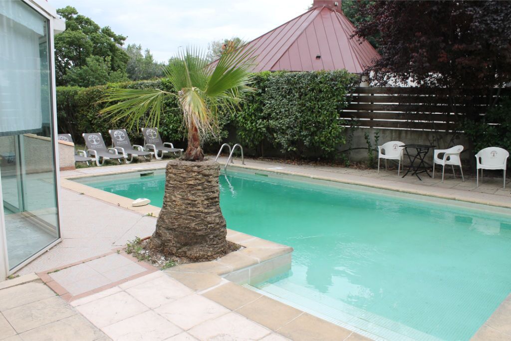 A swimming pool with lounge chairs and a palm tree.
