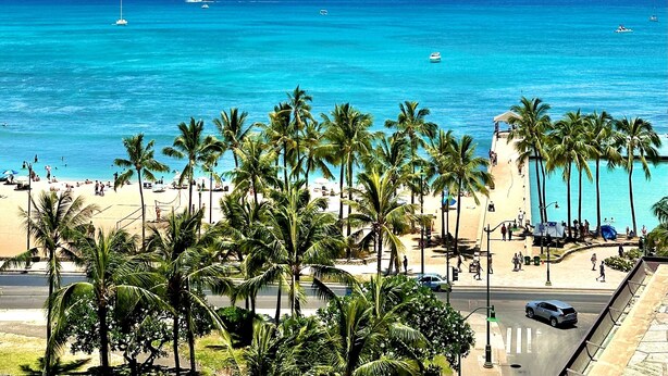 A beach with palm trees, a road, and a view of the ocean with boats.