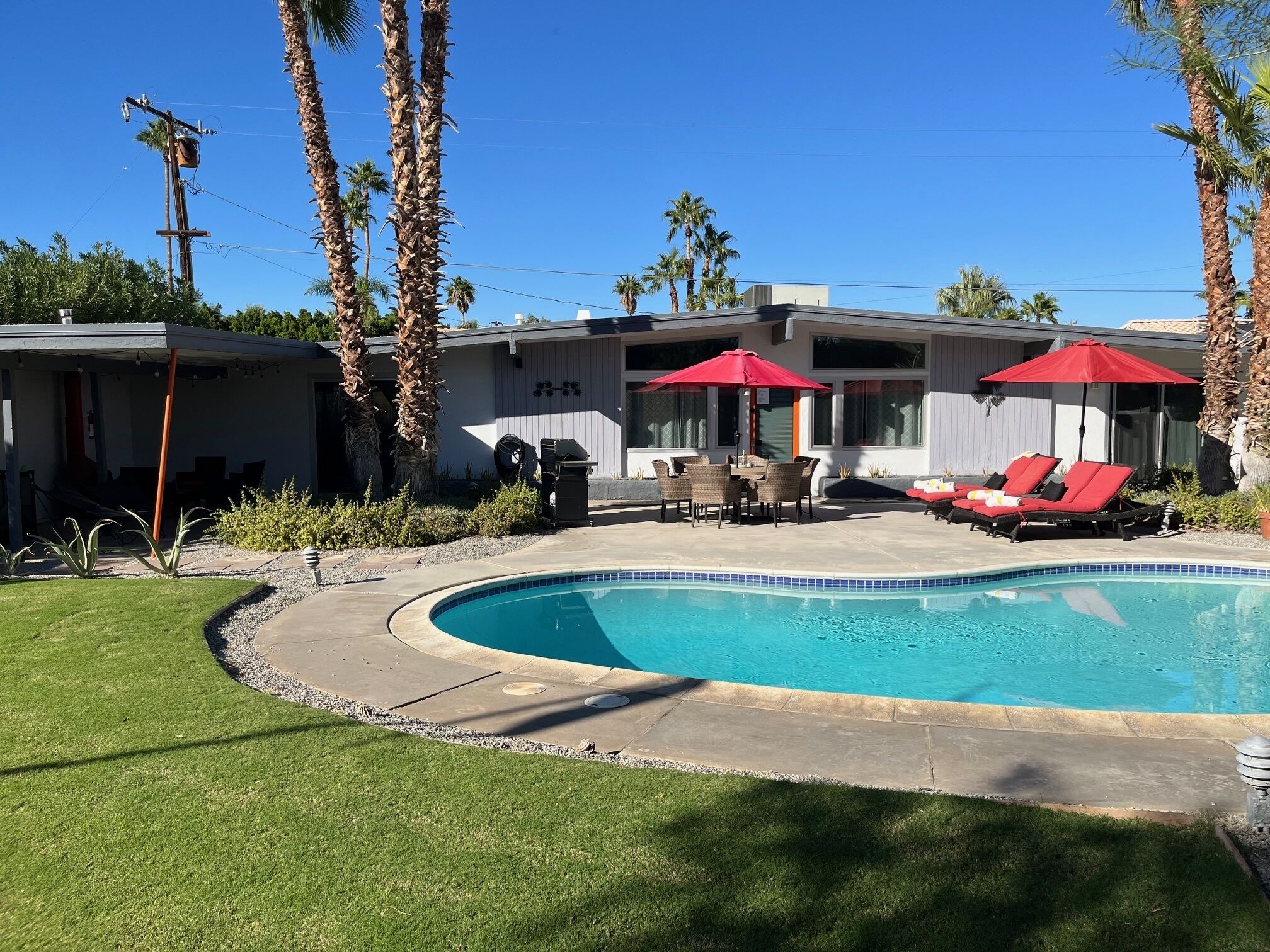 Une piscine à bord incurvé, entourée d’une pelouse bien entretenue et de palmiers. On y trouve également un espace patio avec des meubles d’extérieur et des parasols.