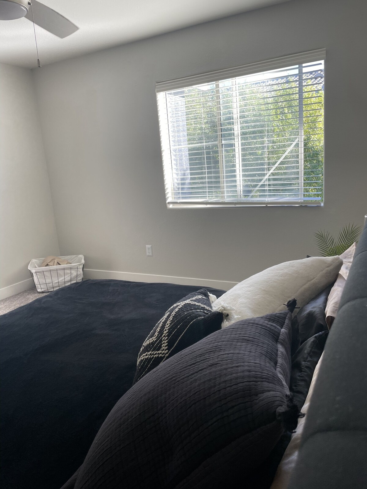 Imagem do perfil do anfitrião