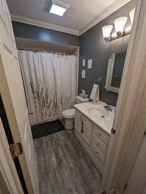Combined shower/bathtub, eco-friendly toiletries, hair dryer, towels - Quaint, quiet condo minutes from Lake Geneva (Lake Geneva)