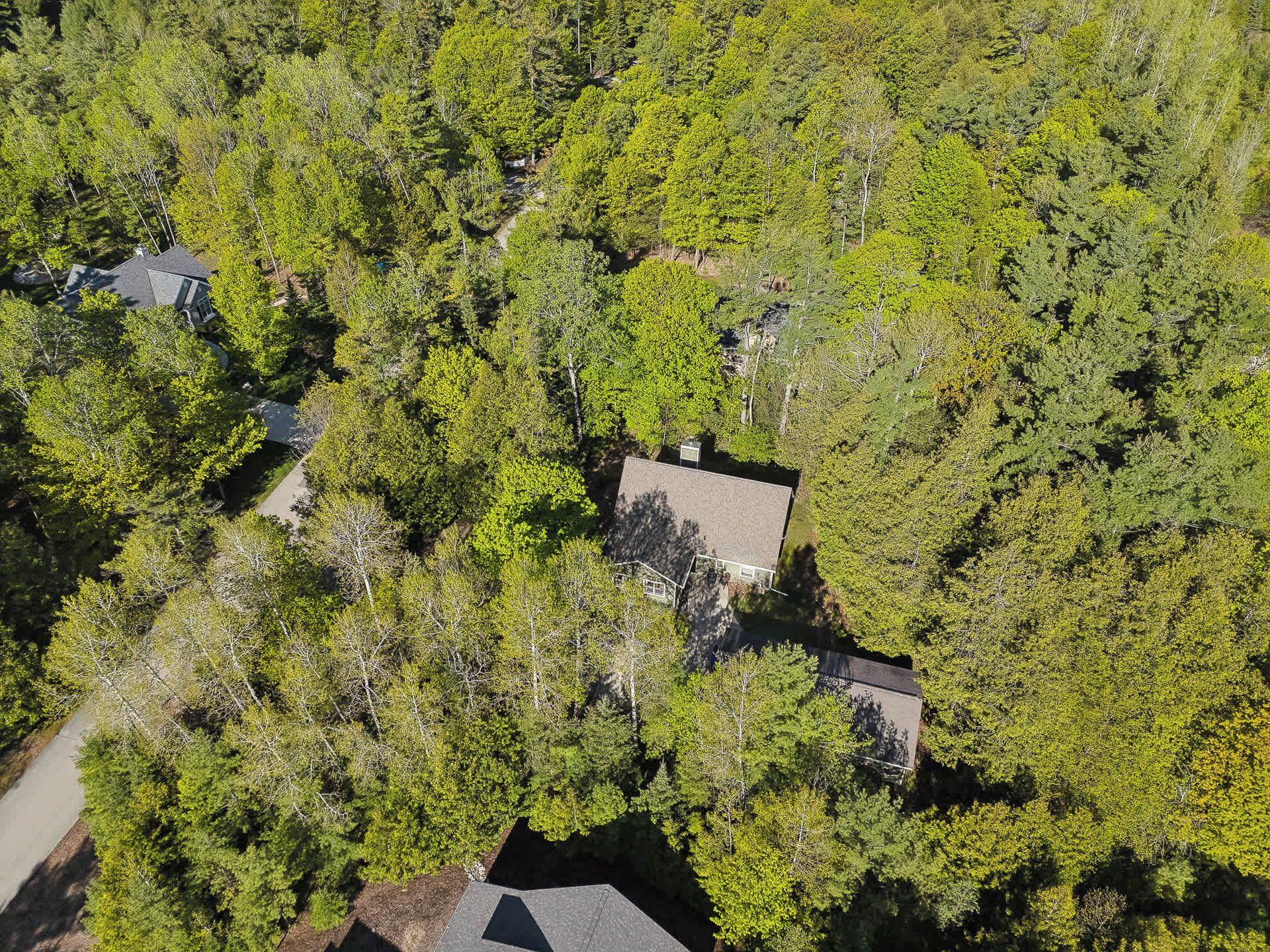 An aerial view of a residential area with multiple houses surrounded by dense green trees.