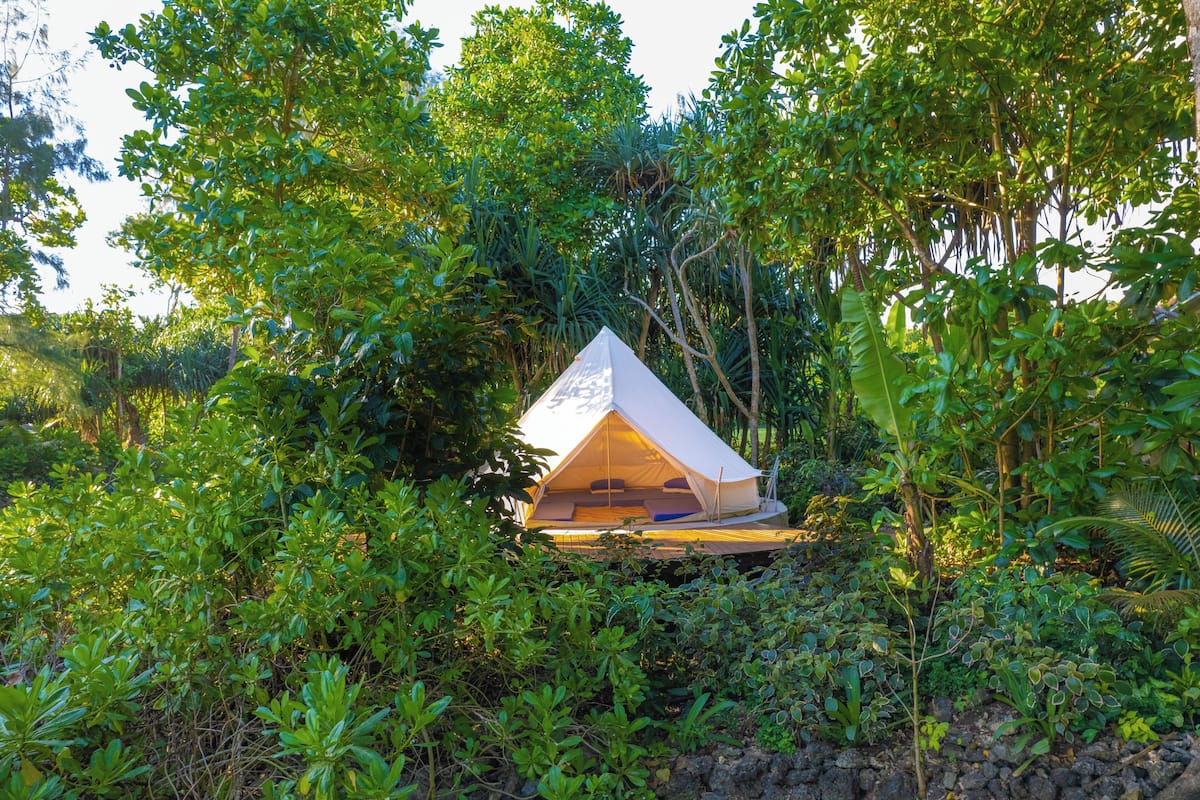 Uma tenda branca com teto triangular, aninhada em meio a folhagem tropical densa.