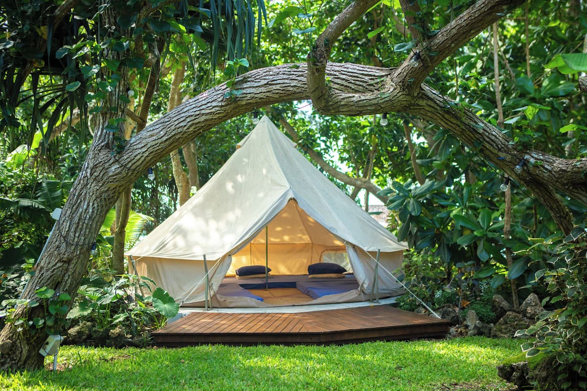 Uma tenda estilo casa na árvore com um deck de madeira, cercada por vegetação exuberante.