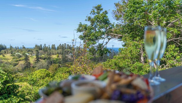 Une table avec un verre de vin et une assiette de nourriture, donnant sur un paysage pittoresque avec des arbres et une vue sur l’océan.