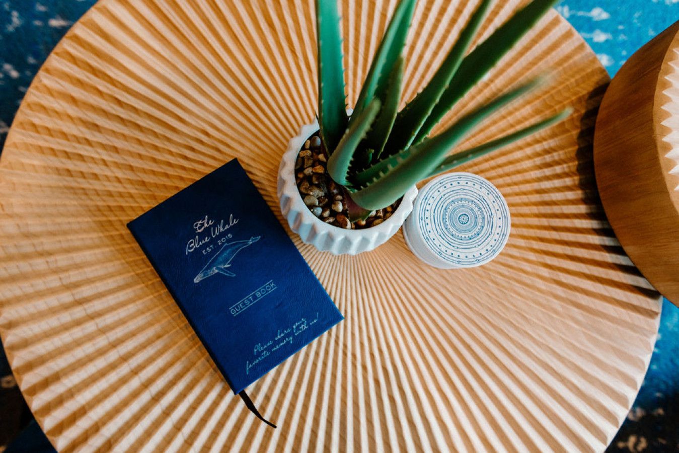 A blue guest book titled "The Blue Whale" on a round wooden table with a potted aloe vera plant and a decorative coaster.