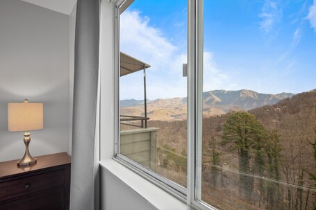 Gatlinburg Summit Smoky Mountains View - Image 40