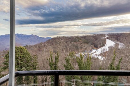 Gatlinburg Summit Smoky Mountains View - Image 46