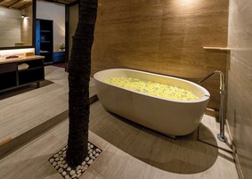 Standard-Studiosuite, 1 King-Bett, Poolblick, Erdgeschoss | Badezimmer | Dusche, Haartrockner, Bidet, Handtücher