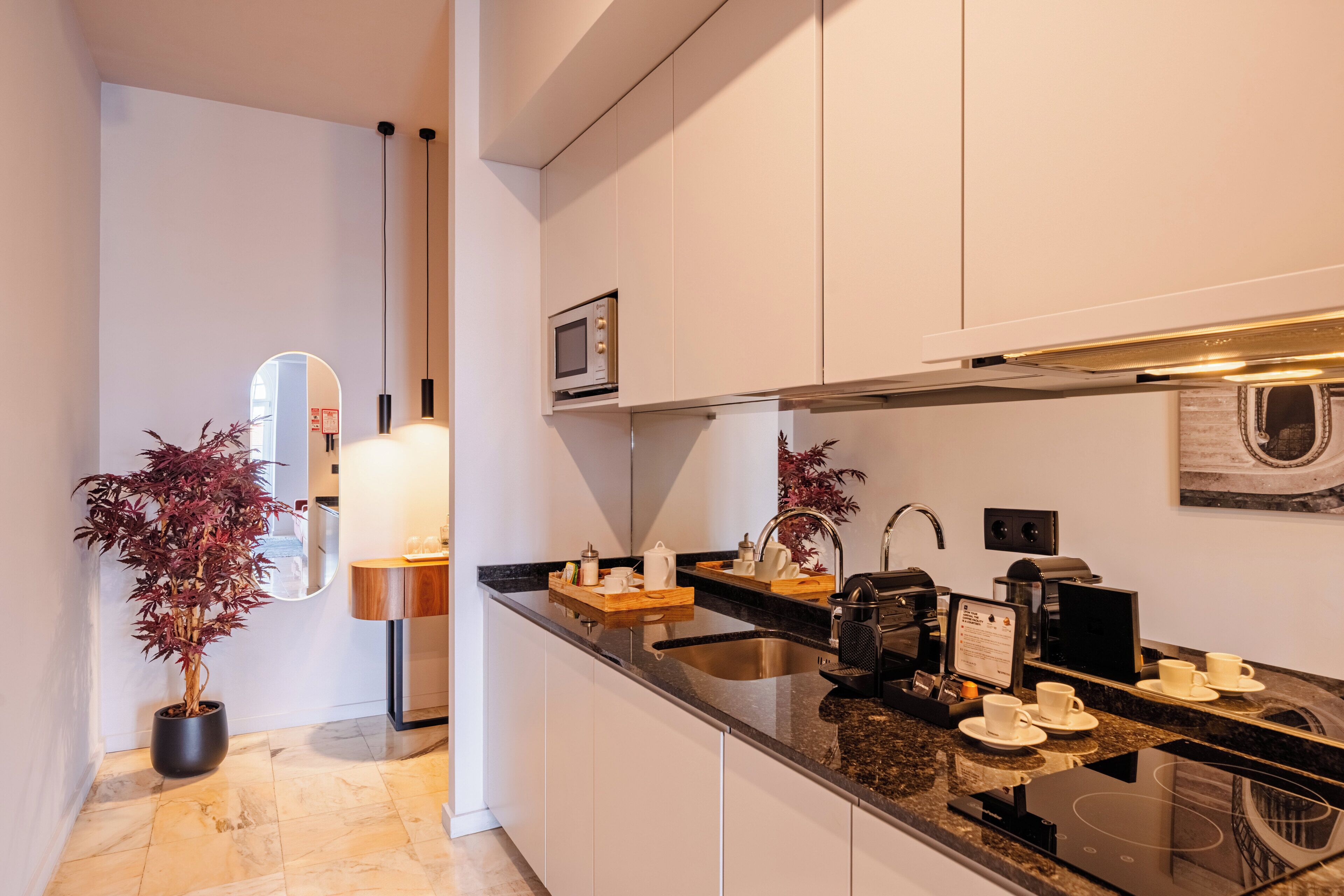 Uma cozinha moderna com micro-ondas embutido, pia, máquina de café e um vaso de planta.