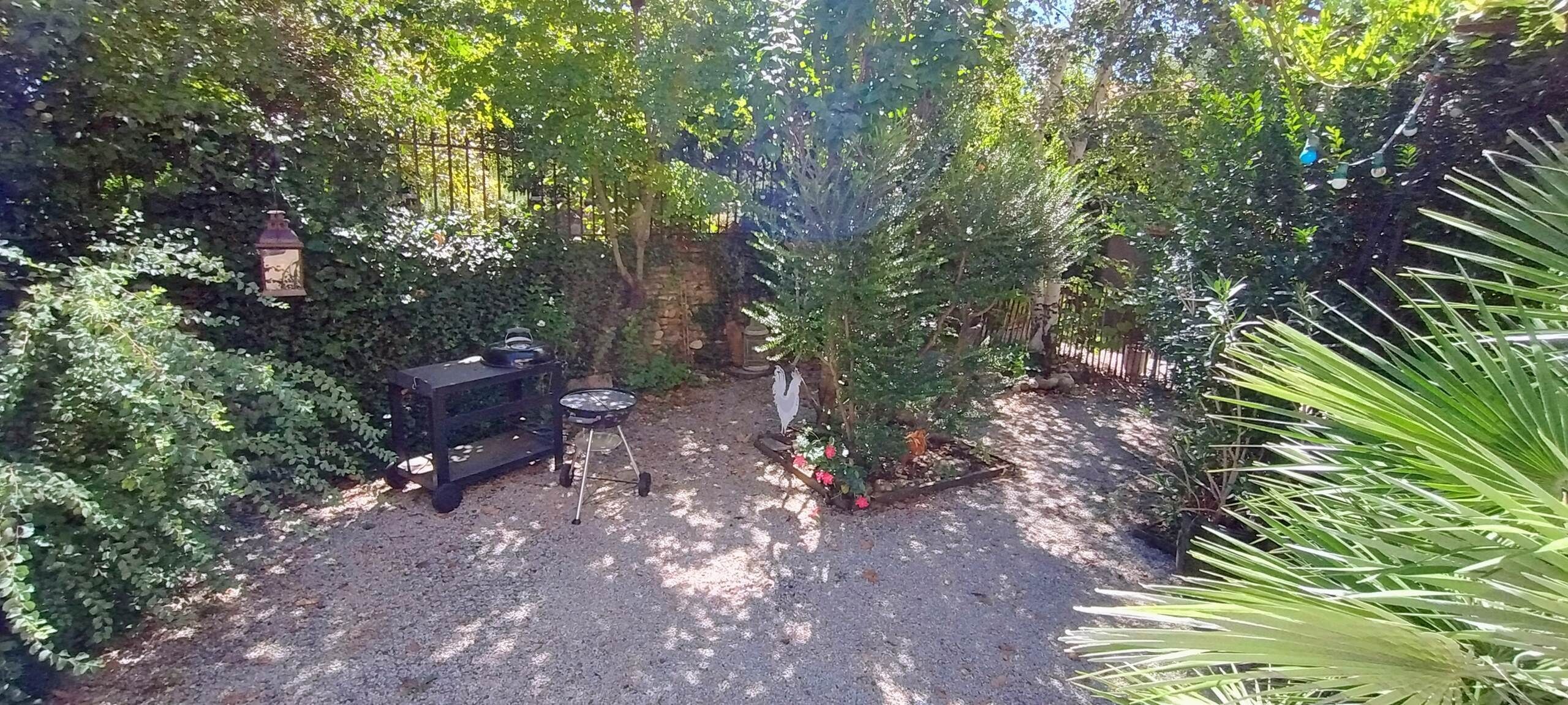 Een terras met een barbecue, een tafeltje en een plant in pot.