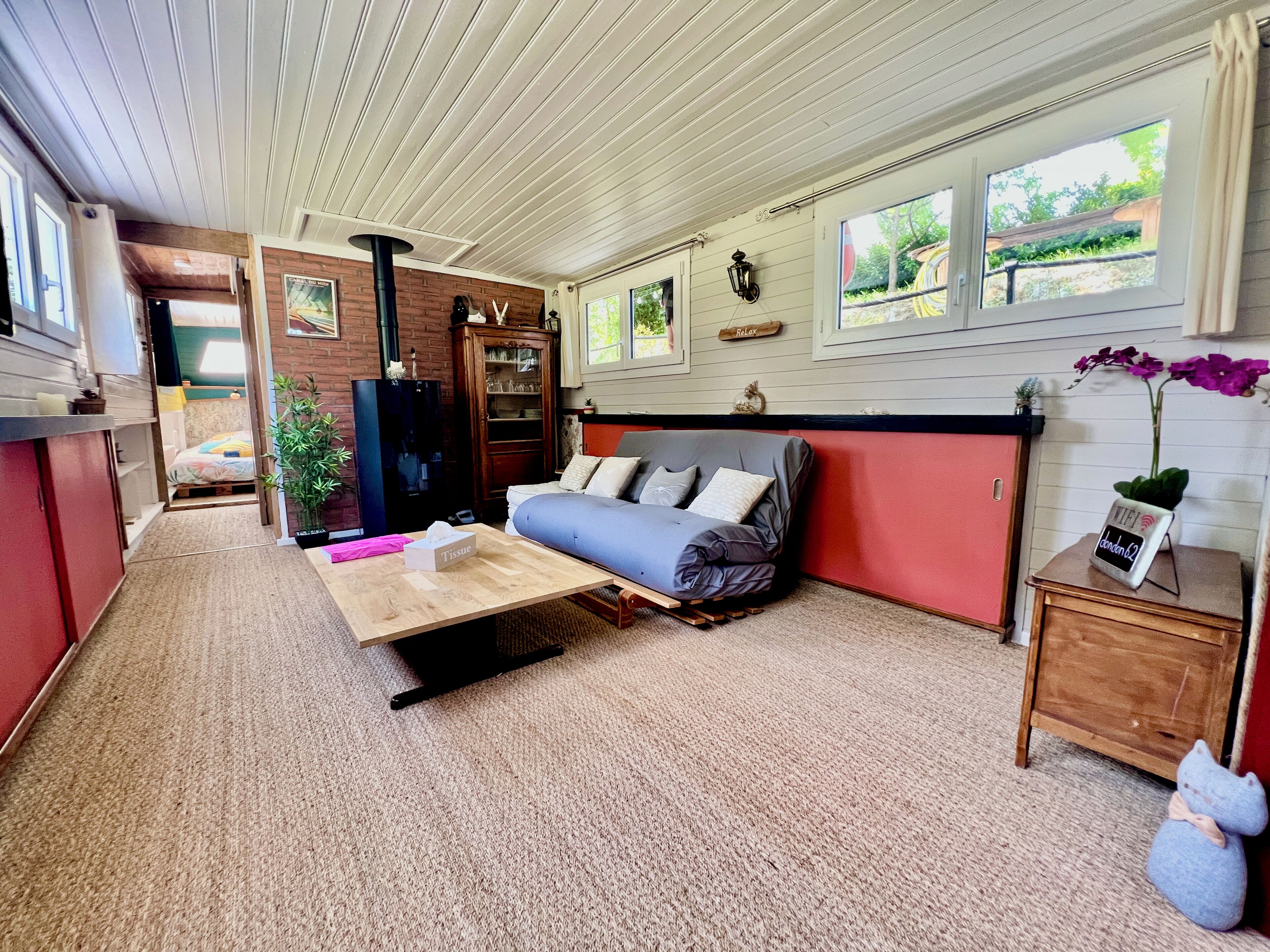 Télévision, cheminée, livres, médiathèque