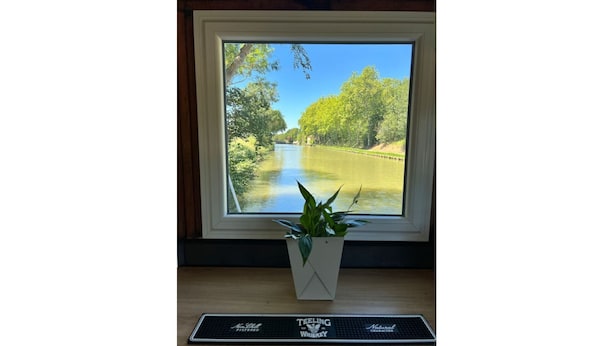A window with a view of a river, a potted plant, and a keyboard on a desk.