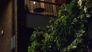 公寓 | 外觀