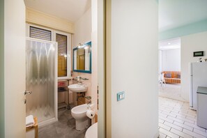 Shower, hair dryer, bidet, towels