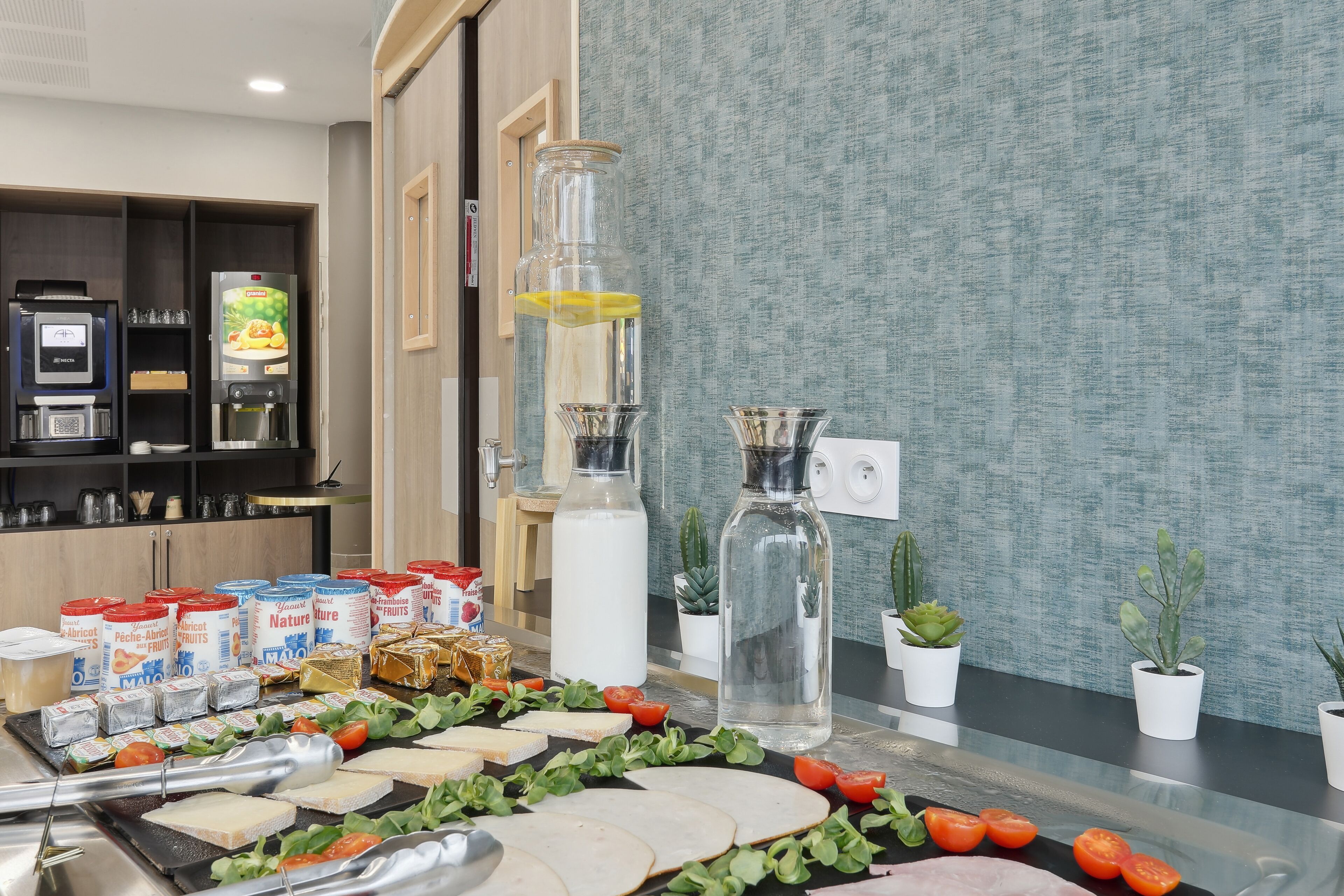 A buffet setup with various food items, a coffee machine, and potted plants.