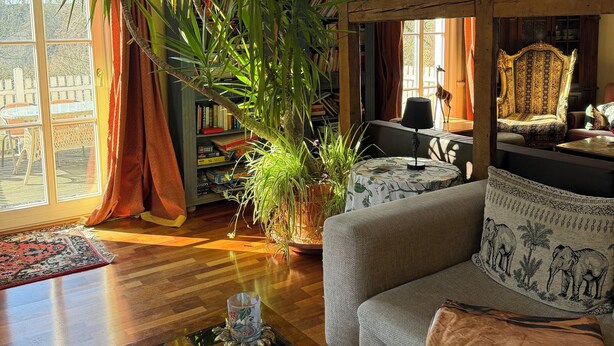 A cozy living room with a large plant, a wooden coffee table, a sofa, and a bookshelf. - Dreamholiday - Stylish large vacation home with garden for 20+ people (Mittelhof)