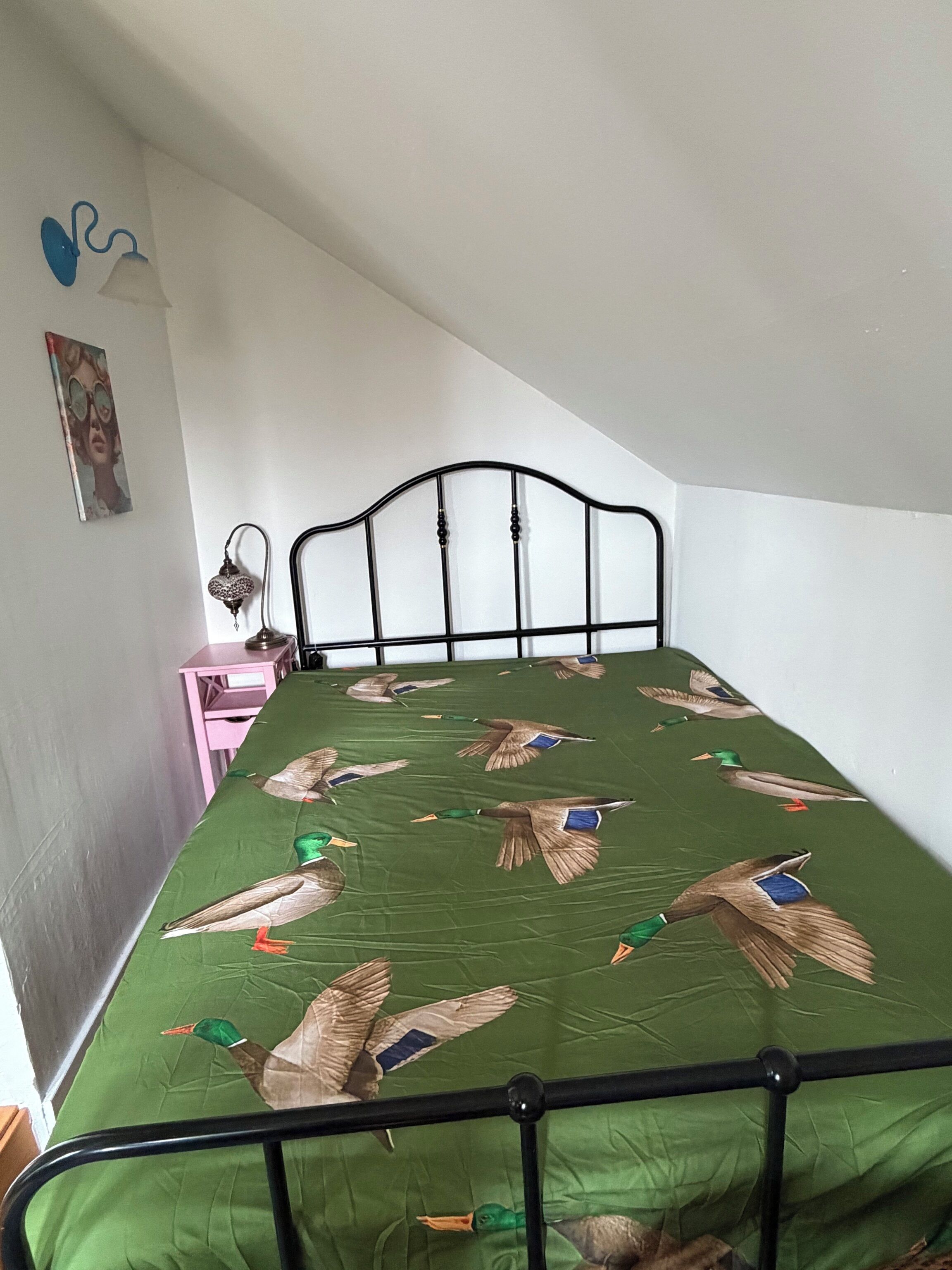 A bed with a green duck-themed bedspread, a black metal headboard, a pink bedside table, and a wall-mounted lamp.