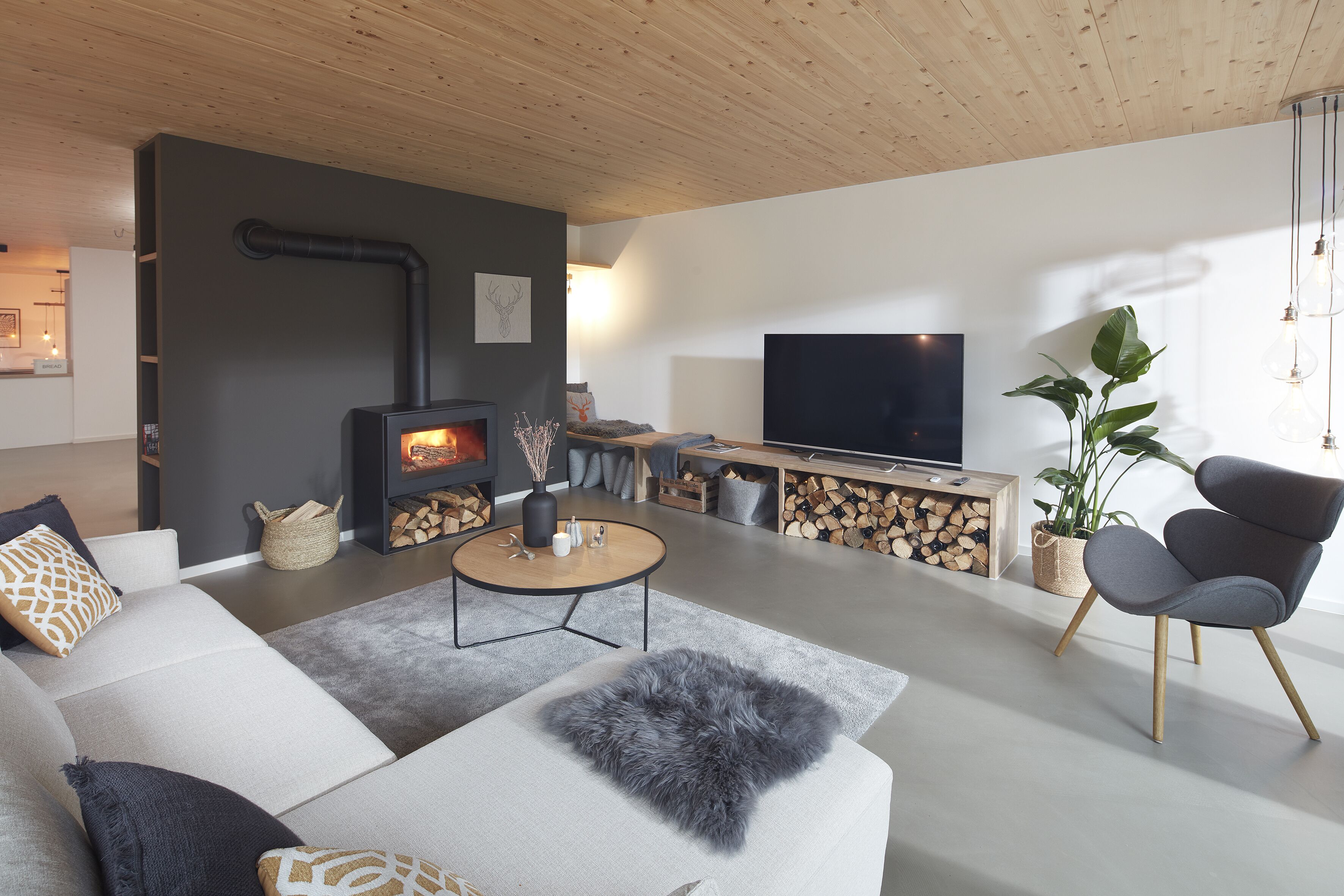 Smart-TV, Kamin, Bücher