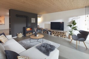 TV connectée, cheminée, livres