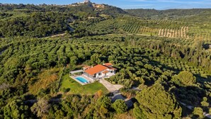 Una casa grande con piscina, rodeada de abundante vegetación y una colina con un castillo al fondo.