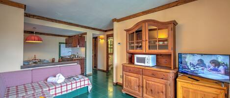 Télévision à écran plat de 21 pouces avec chaînes numériques, télévision