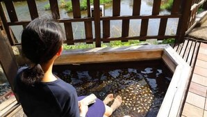 Property grounds - Ureshino Onsen Takasago (Ureshino)