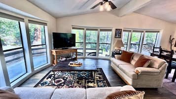 Smart TV, fireplace, books