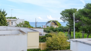 Ein Wohngebiet mit Blick auf das Meer, einer Steinmauer und einem Metallzaun.