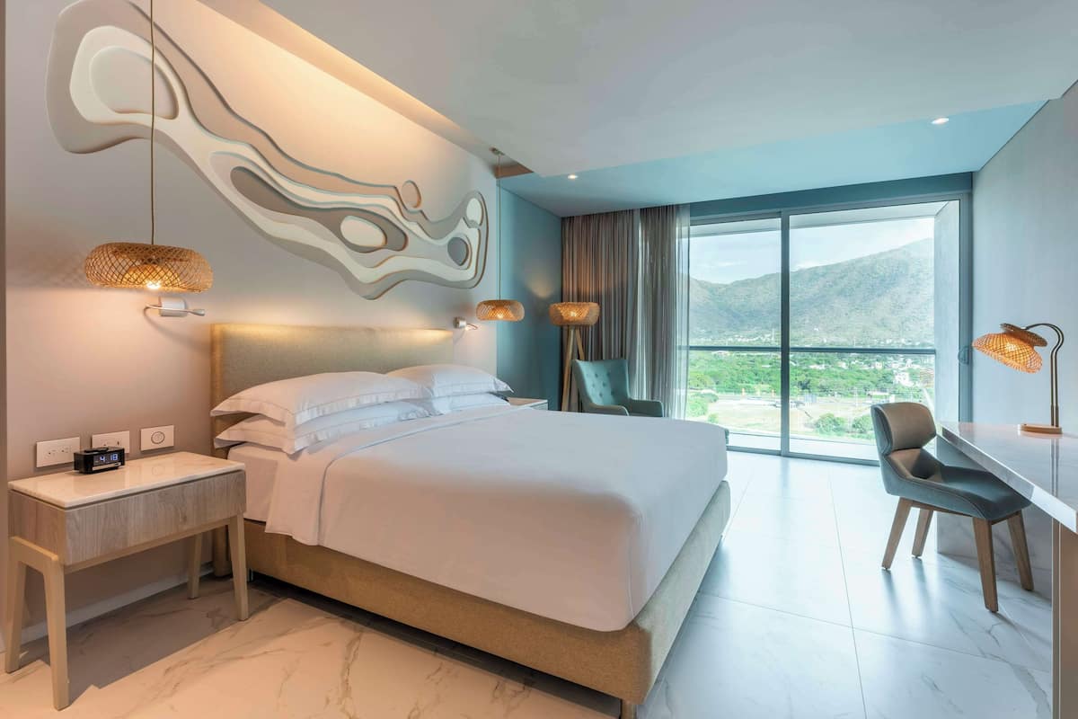 Room, 1 King Bed, City View | View from room