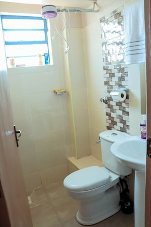 Un baño con inodoro, lavamanos y ducha.