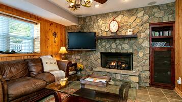 TV connectée, cheminée, lecteur de DVD, chaßne hi-fi