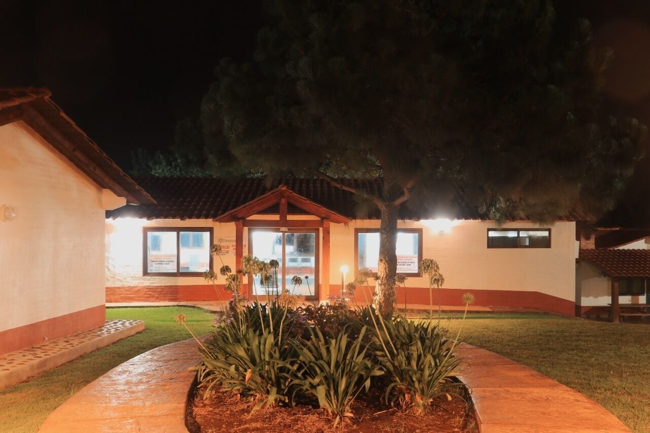 A building with a tiled roof, a small porch, and a garden with plants and a tree.