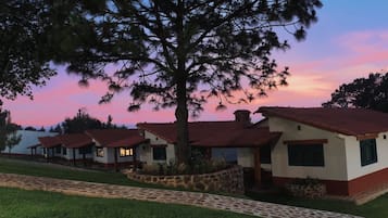 Stroll along the central pathway to our charming single-story buildings, surrounded by lush greenery and a majestic tree.